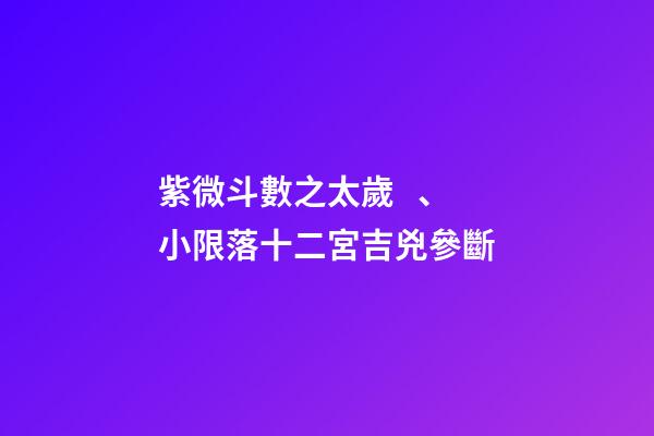 紫微斗數之太歲、小限落十二宮吉兇參斷